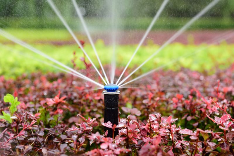 Promotes a Healthier Lawn & Garden