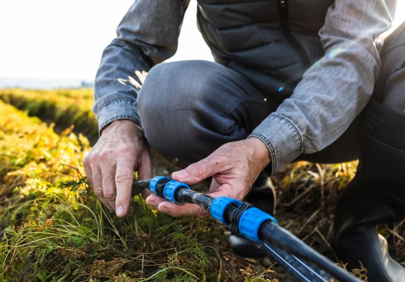 Sprinkler Line Repair in Honolulu, HI