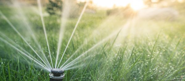 Grass Sprinkler Installation Service