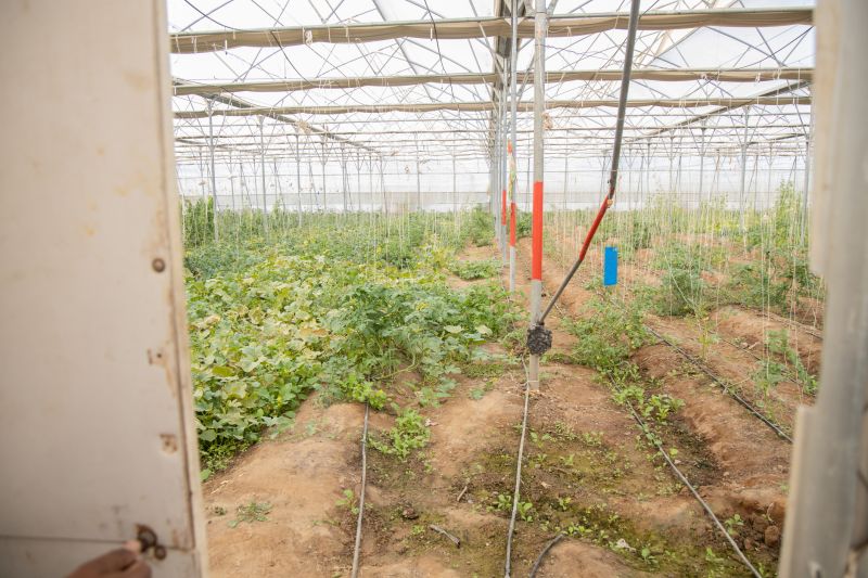 Commercial Irrigation Service in Ventura County, CA