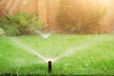 Lawn Sprinkler System in Action