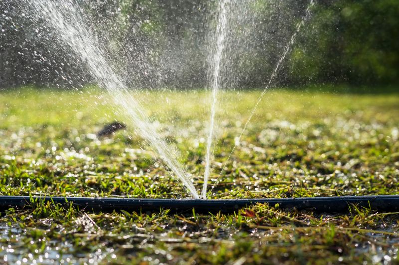 Lawn Sprinkler Replacement in Aiken, SC