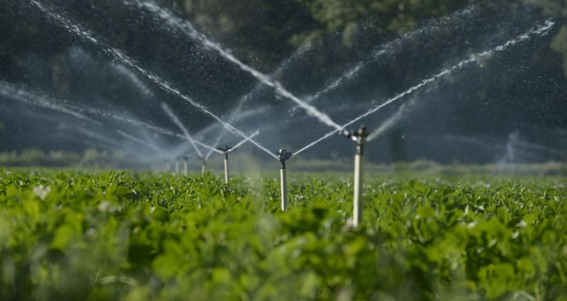 Landscape Irrigation Companies